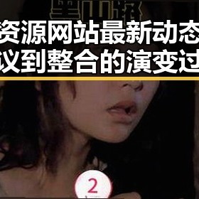 国产资源网站最新动态：从争议到整合的演变过程