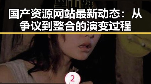 国产资源网站最新动态：从争议到整合的演变过程